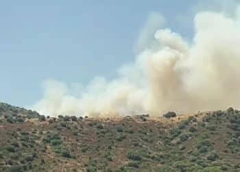 Grosso incendio a Nurri, in cenere decine di ettari di vegetazione e pascoli