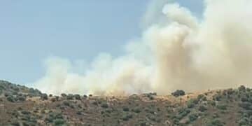 Grosso incendio a Nurri, in cenere decine di ettari di vegetazione e pascoli