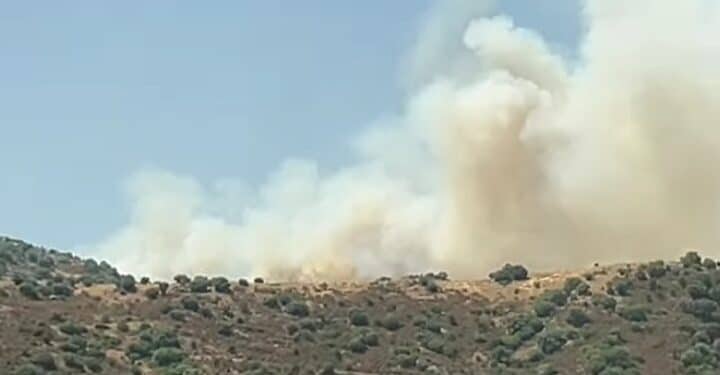 Grosso incendio a Nurri, in cenere decine di ettari di vegetazione e pascoli