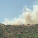 Grosso incendio a Nurri, in cenere decine di ettari di vegetazione e pascoli