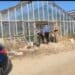 Sestu, scoperta una piantagione di marijuana in una serra comunale: un arresto -VIDEO