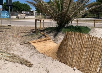 Alghero, distrutti dai vandali i cannicciati nuovi a Maria Pia