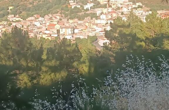 Esterzili, terribile incidente: nello schianto fatale perde la vita Luigino Deiana