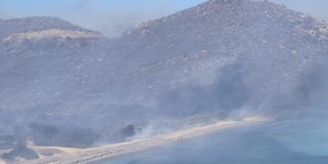 Incendio a Punta Molentis, il Grig: “La Procura deve indagare per strage”