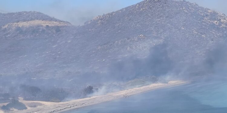 Incendio a Punta Molentis, il Grig: “La Procura deve indagare per strage”