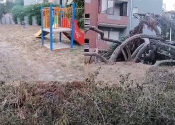 Cagliari, i giardinetti dimenticati tra via del Pozzetto e via del Sole: “Erbacce, prato secco e fontanelle chiuse” (VIDEO)