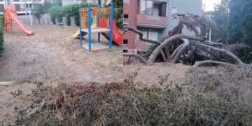 Cagliari, i giardinetti dimenticati tra via del Pozzetto e via del Sole: “Erbacce, prato secco e fontanelle chiuse” (VIDEO)