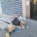 Quartu, via Brigata Sassari sommersa dai rifiuti: “Impossibile anche suonare il campanello per il fetore”