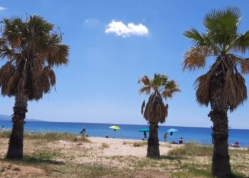 Quartu, il PUL è realtà dopo 26 anni: ecco cosa cambia per le spiagge, più concessioni e parcheggi sul litorale