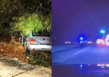 Fuga rocambolesca nella notte sulla 554, poi lo schianto contro un albero: 33enne denunciato per guida in stato di ebbrezza (VIDEO)