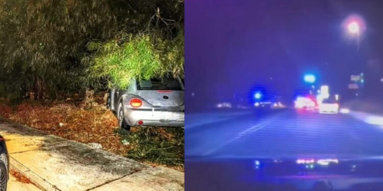 Fuga rocambolesca nella notte sulla 554, poi lo schianto contro un albero: 33enne denunciato per guida in stato di ebbrezza (VIDEO)