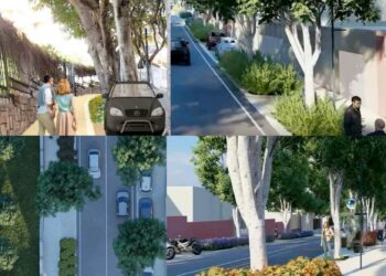 Cagliari, scatta la rivoluzione green per viale Merello: via ai lavori nel 2026, saranno piantati 192 nuovi alberi