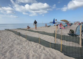 Sorpresa al Poetto di Quartu: schiusa improvvisa di un nido di tartarughe Caretta Caretta alla Marinella (VIDEO)
