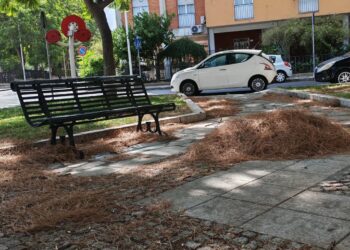 Cagliari, piazza paese di Desulo sommersa da cumuli di aghi di pino : “Gli operatori ecologici sono in ferie?”
