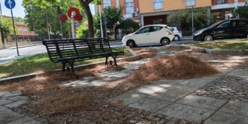 Cagliari, piazza paese di Desulo sommersa da cumuli di aghi di pino : “Gli operatori ecologici sono in ferie?”
