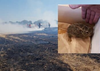 Giba, campi di stoppie e grano a fuoco: grosso incendio nelle campagne del paese