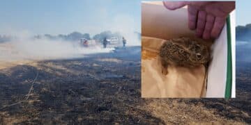 Giba, campi di stoppie e grano a fuoco: grosso incendio nelle campagne del paese