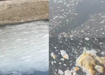 “Una cloaca putrida e nauseabonda” a due passi dal Poetto: ecco il canale che collega Is Arenas al mare