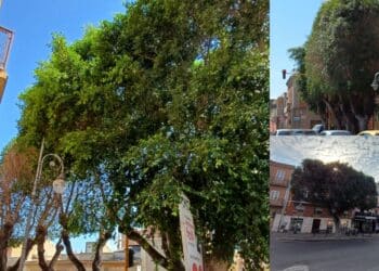 Monserrato, insulti shock sui social contro gli amministratori: “Ci sono gli estremi per prendere provvedimenti”