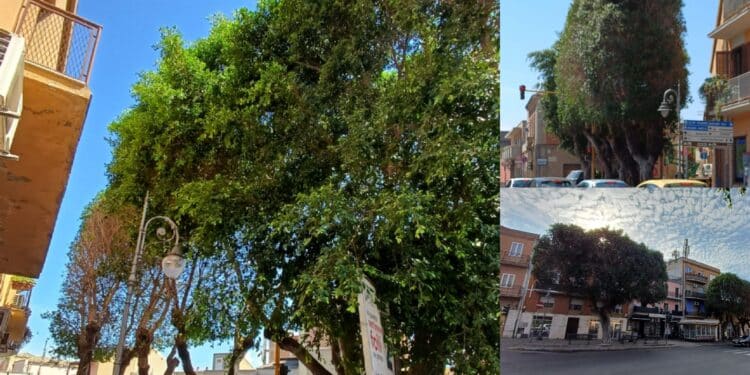 Monserrato, insulti shock sui social contro gli amministratori: “Ci sono gli estremi per prendere provvedimenti”