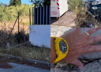 Alte sterpaglie gialle dietro case e palazzi a Elmas, i residenti: “Abbiamo paura, basterebbe una scintilla per mettere in pericolo tutti”.