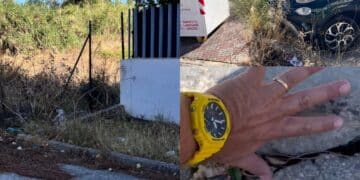 Alte sterpaglie gialle dietro case e palazzi a Elmas, i residenti: “Abbiamo paura, basterebbe una scintilla per mettere in pericolo tutti”.