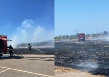 Sestu, le fiamme minacciano il mercato agroalimentare. A Carbonia incendio pauroso nei pressi dell’ospedale