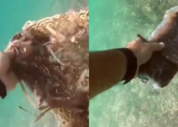 Da Cagliari a Portoscuso per ripulire i fondali: niente pesci tra le mani, solo immondizia