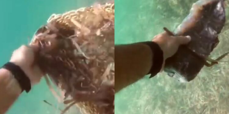 Da Cagliari a Portoscuso per ripulire i fondali: niente pesci tra le mani, solo immondizia