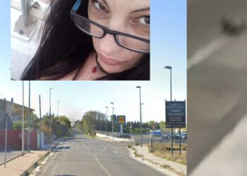 Corse sfrenate a Serramanna: “Tanti gli animali travolti e uccisi, ora abbiamo paura”