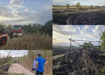 Monserrato, “basta incendi, pene più severe”: pugno duro di Locci contro la piaga piromani