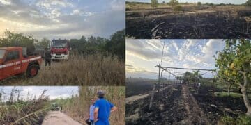 Monserrato, “basta incendi, pene più severe”: pugno duro di Locci contro la piaga piromani