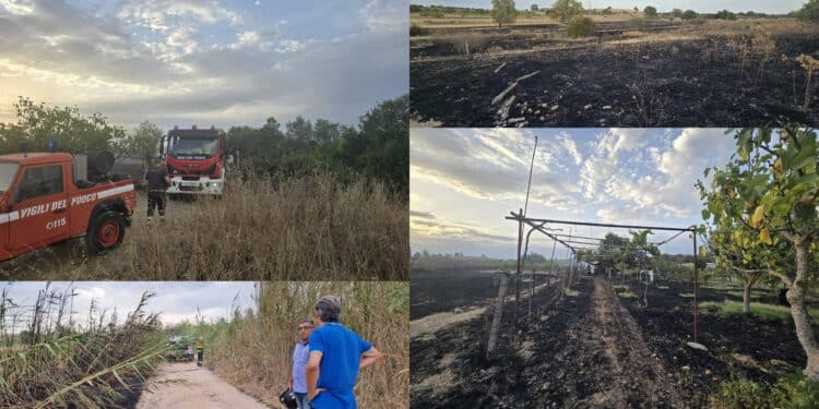 Monserrato, “basta incendi, pene più severe”: pugno duro di Locci contro la piaga piromani