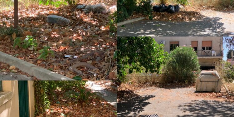 Capoterra, foglie e rifiuti minacciano il quartiere Area: troppo alto il rischio incendi