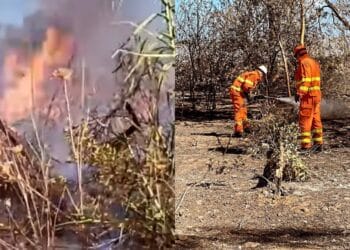 Capoterra, volontari attivi 24 ore al giorno per tutelare il territorio