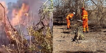 Capoterra, volontari attivi 24 ore al giorno per tutelare il territorio