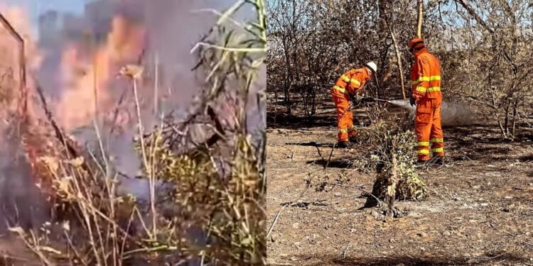 Capoterra, volontari attivi 24 ore al giorno per tutelare il territorio