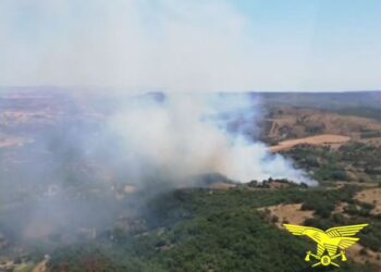 Incendi, in Sardegna un sabato drammatico: morti centinaia di maiali e aziende agricole evacuate