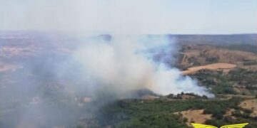 Incendi, in Sardegna un sabato drammatico: morti centinaia di maiali e aziende agricole evacuate