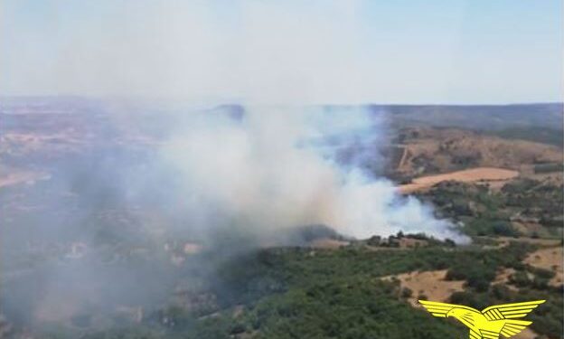 Incendi, in Sardegna un sabato drammatico: morti centinaia di maiali e aziende agricole evacuate