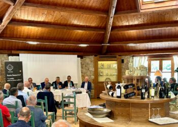 Il Pecorino Romano DOP cresce ancora: produzione in aumento, export a +12,8% e focus su sostenibilità e tutela