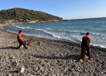 Giornata della prevenzione dell’annegamento, esercitazioni con i cani a Mari Pintau