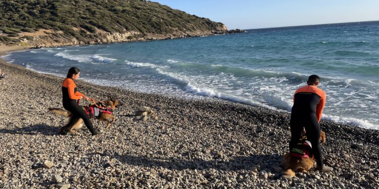 Giornata della prevenzione dell’annegamento, esercitazioni con i cani a Mari Pintau
