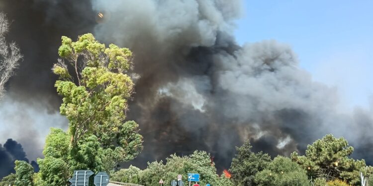 Carbonia, fiamme a due passi dal Sirai: “Ieri è stata sfiorata la tragedia”