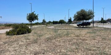 A Selargius pochi alberi nel parcheggio di San Lussorio: la distesa arida accende le polemiche