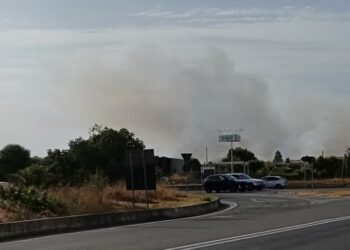 Selargius, un grosso incendio minaccia le case: alte fiamme alimentate dal forte vento