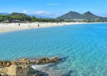 Cala Sinzias in pericolo, vegetazione secca e sterpaglie che rappresentano un pericolo reale di incendio