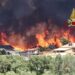 Spaventoso incendio a Carbonia, in volo anche un Canadair per spegnere le fiamme alimentate dal vento