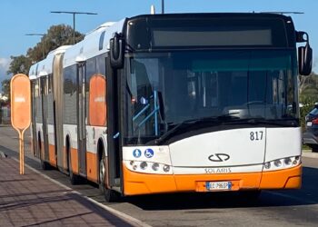 Cagliari: pulci, zecche, blatte e roditori via dai bus con maxi disinfestazione