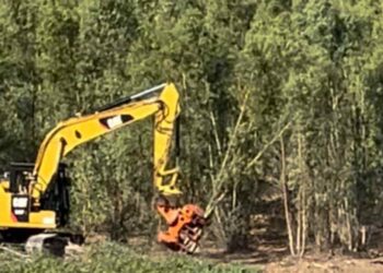 Disboscamento a Uta: “Si chiarisca se dietro il taglio si nasconde un progetto fotovoltaico già bocciato”